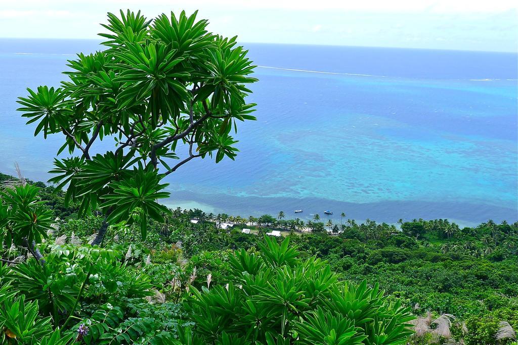 Mai Dive' Astrolabe Reef Resort Naqara Room photo